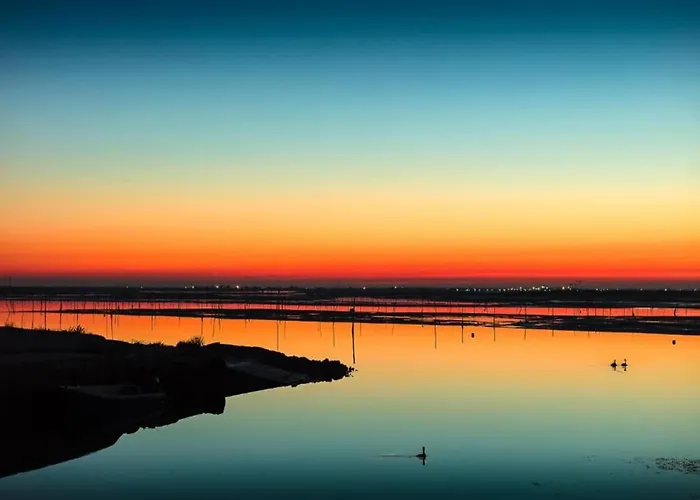 Escape Steps From The Casa vacanze Rosolina Mare