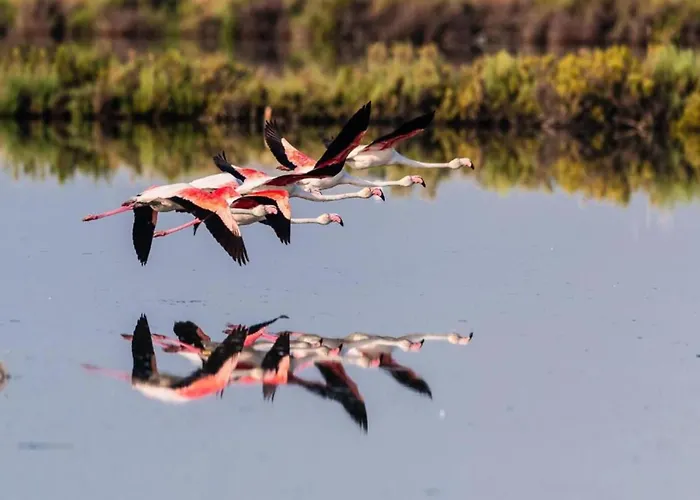 Escape Steps From The Casa vacanze *
