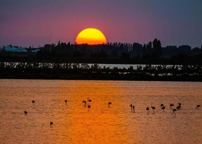 Casa vacanze Escape Steps From The