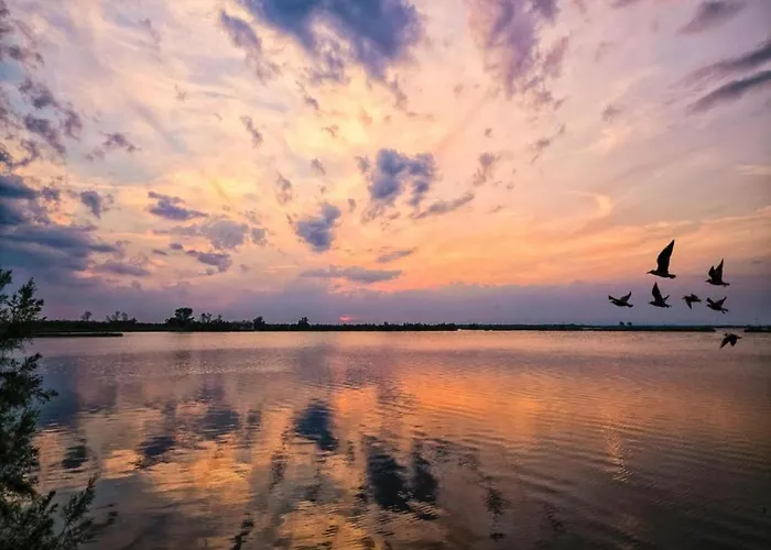 Escape Steps From The Rosolina Mare