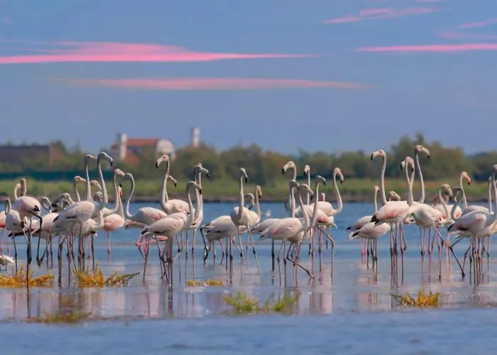 Casa vacanze Escape Steps From The