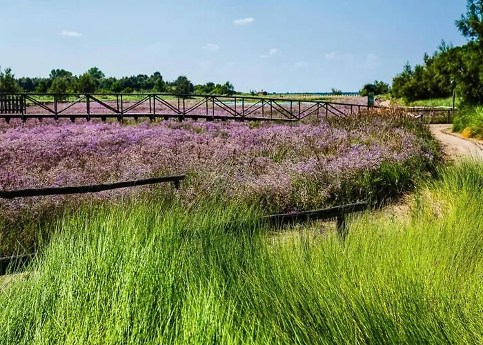 Escape Steps From The Casa vacanze Rosolina Mare
