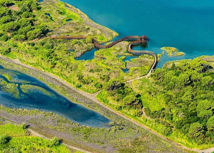 Escape Steps From The *