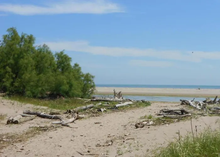 Escape Steps From The *