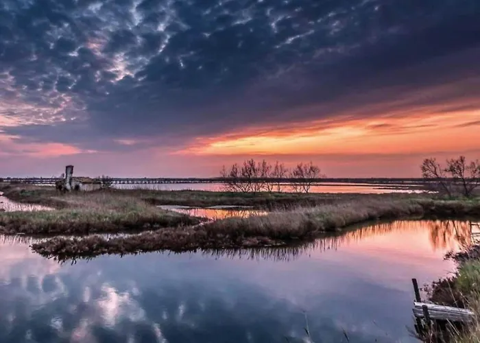 Escape Steps From The